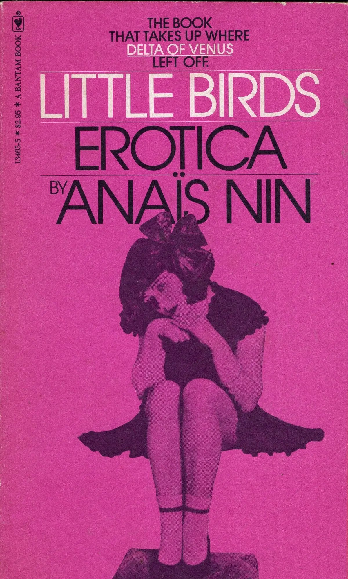 Little Birds Erotica 1