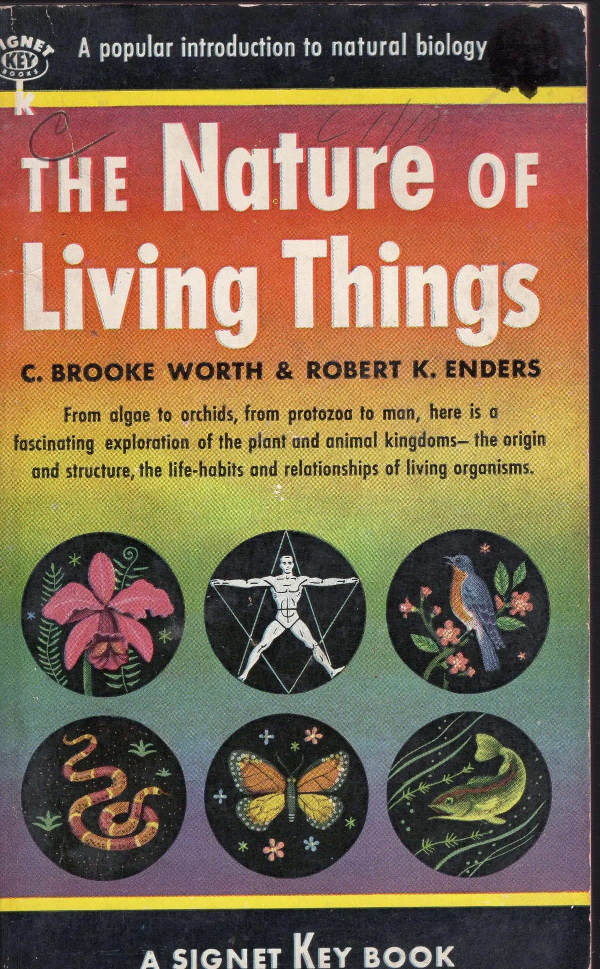 The Nature Of Things 1