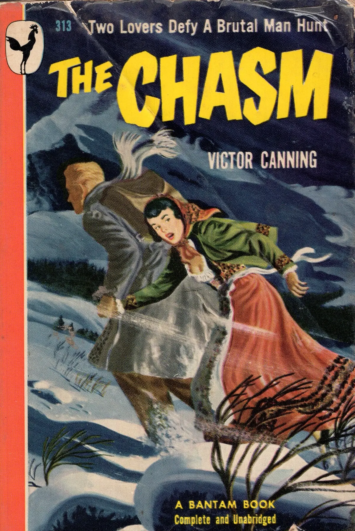 The Chasm (Copy) 1