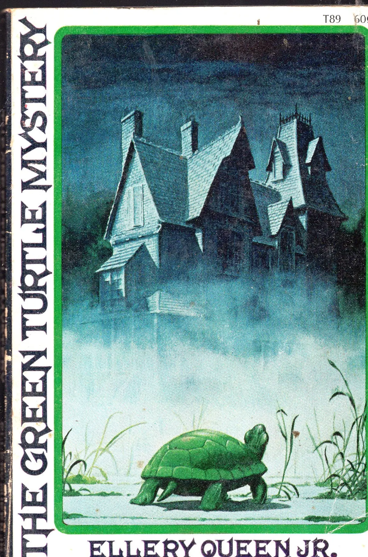 The Green Turtle Mystery 1