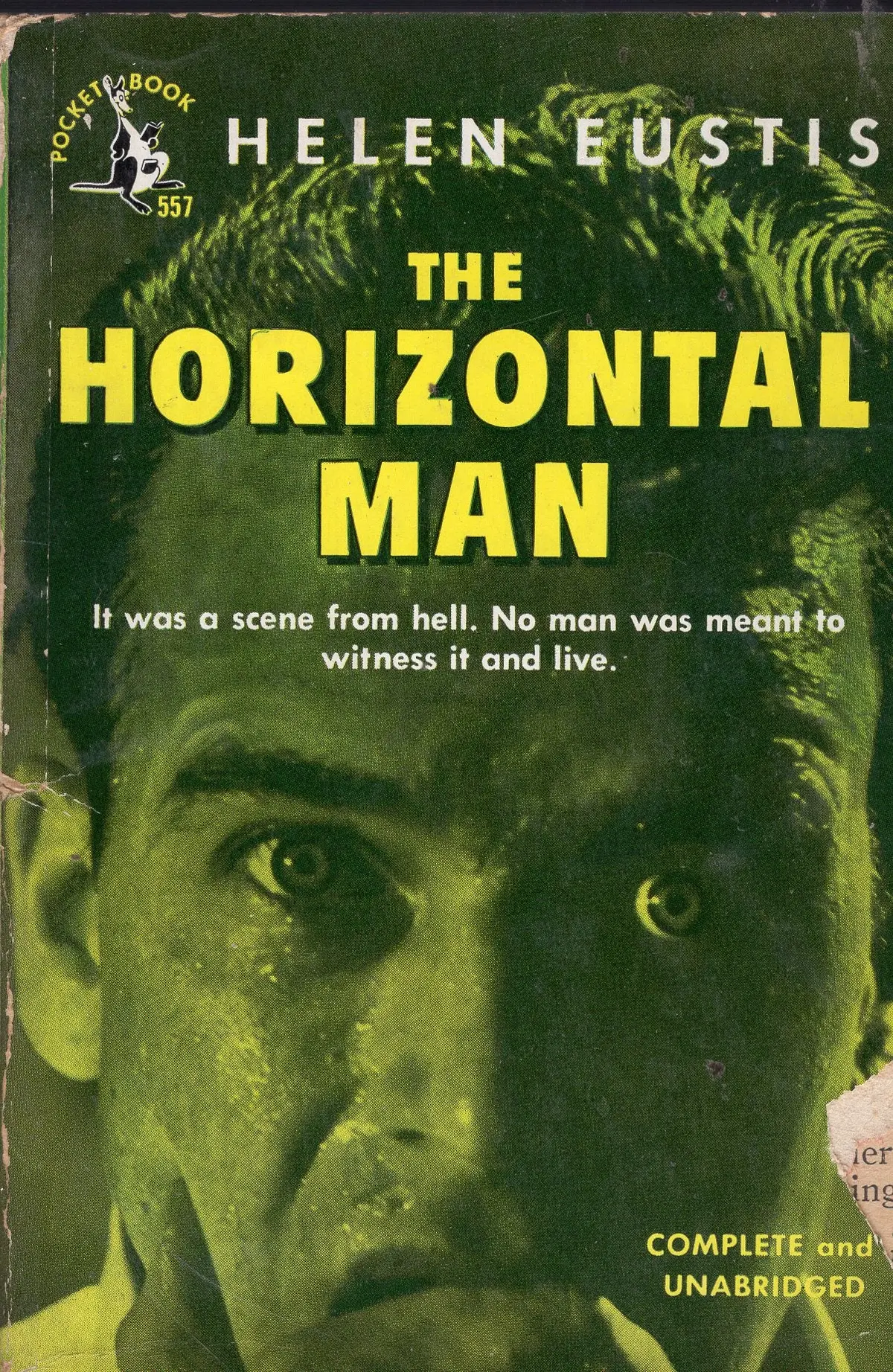The Horizontal Man 1