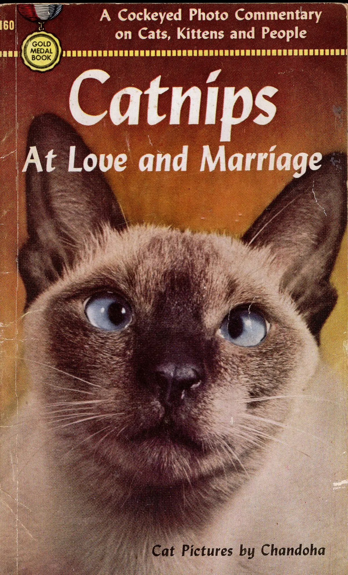 Catnips At Love And Marriage 1