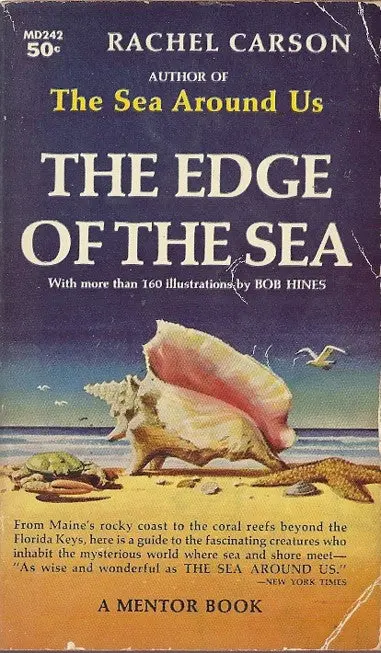 The Edge Of The Sea 1