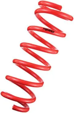 Tanabe Nf210 Lowering Springs For 2011 Lexus Ct200H 1